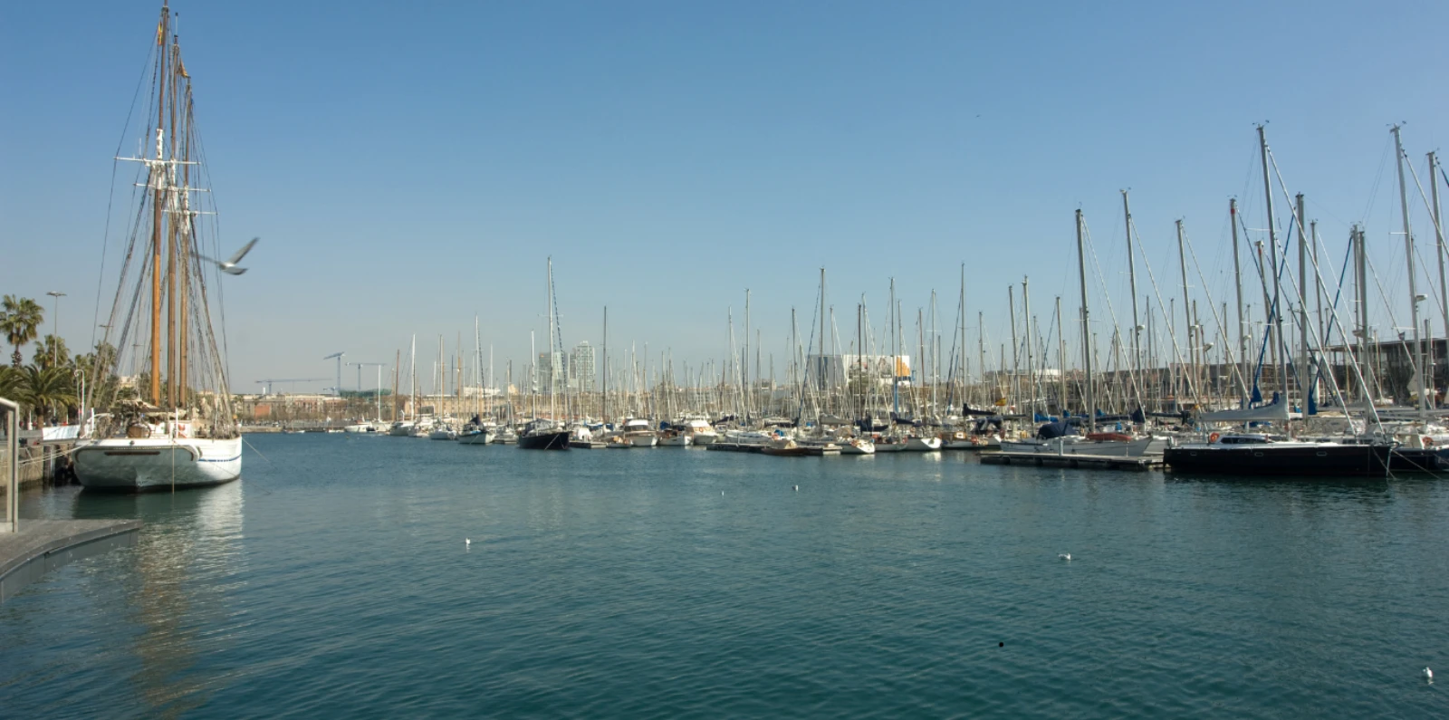 Paseo en barco al atardecer en Barcelona