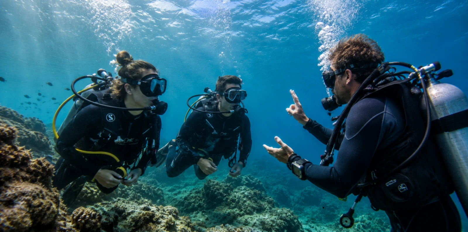 Scuba Diving in Barcelona, What Dive Shops Leave Out